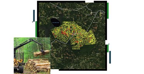 timber cruising software|forestry software for loggers.